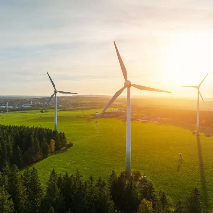 3 Windkraftanlagen stehen auf einer Wiese im Sonnenuntergang